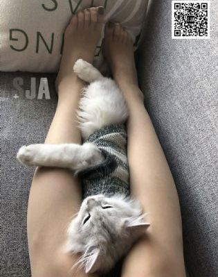 韩剧 王的女人_国产剧最新电影在线观看